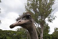 Lost in Paradise - Mauritius [Blu-ray 3D], 6