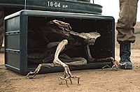 Sputnik - Es wächst in dir [Blu-ray], 3