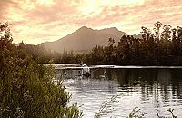 The Breed [Blu-ray], 2