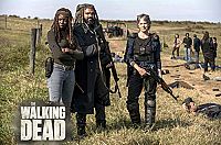 The Walking Dead - Staffel 8 [DVD], 9