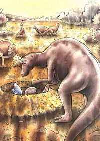 Komm mit ins Abenteuerland, 6