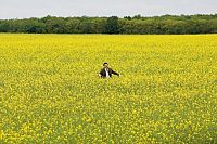 Mr. Bean macht Ferien [DVD], 7