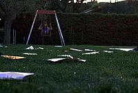 Paranormal Vitality [Blu-ray], 9