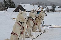 Winter Games [DVD], 8