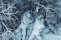 Red Sniper - Die Todesschützin [Blu-ray], 9