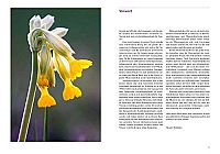 Praxishandbuch Frauenkräuter, 3