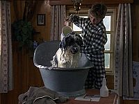 Weihnachten mit Willy Wuff 1 [DVD], 4