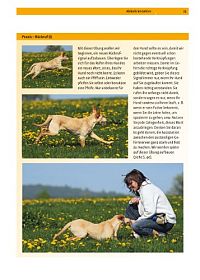 Hundeschule: Motivieren, erfolgreich erziehen, Verhalten formen mit dem Clicker, 6