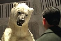 Die Schneekönigin [DVD], 1