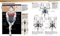 Krafttraining - Muskelaufbau - Fitness - Gesundheit, 2