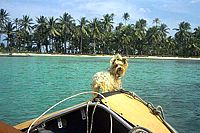 Der Paradiesjäger - Für immer ausgestiegen, 6