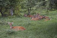 Lost in Paradise - Mauritius [Blu-ray 3D], 8