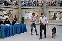 Mika - Dein bester Freund und grosser Held [DVD], 4