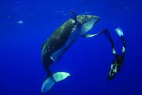 Unser Leben [DVD], 5