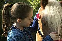 Tiere bis unters Dach - Staffel 1 [DVD], 3