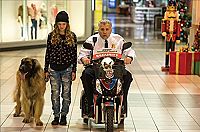 Grumpy Cats miesestes Weihnachtsfest ever [DVD], 5