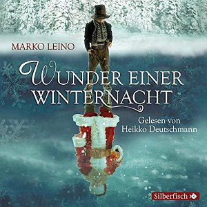 Wunder einer Winternacht