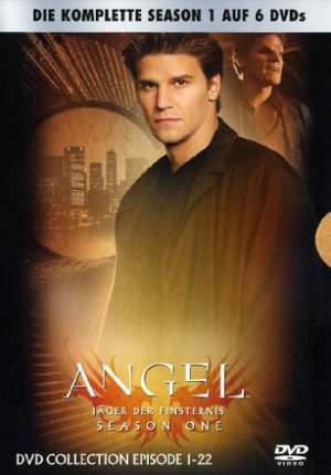 Angel - Jäger der Finsternis: Die komplette Season 1 [DVD]