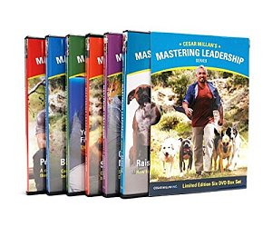 Cesar Millan's Mastering Leadership  [DVD]