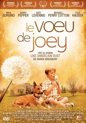 Le voeu de Joey [DVD]