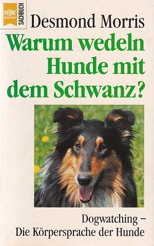 Warum wedeln Hunde mit dem Schwanz?