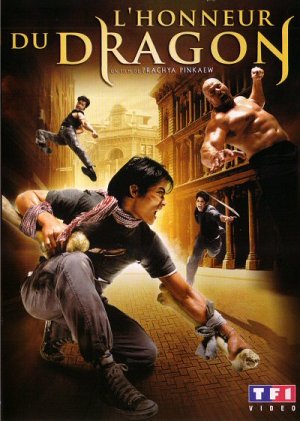 L'Honneur du dragon [DVD]