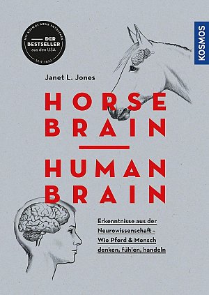 Horse Brain, Human Brain