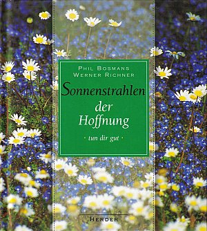 Sonnenstrahlen der Hoffnung tun dir gut
