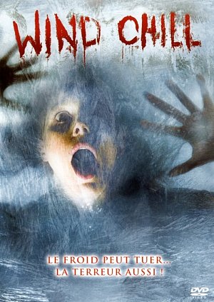 Wind chill [DVD]