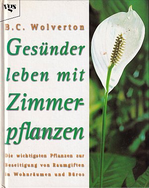 Gesünder leben mit Zimmerpflanzen