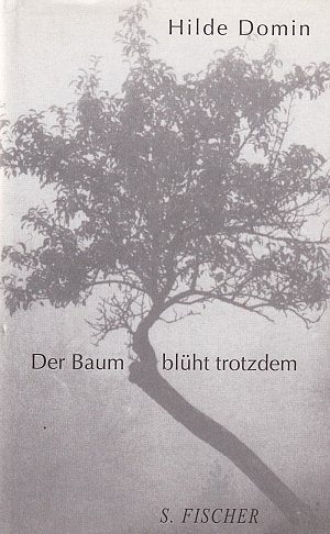 Der Baum blüht trotzdem