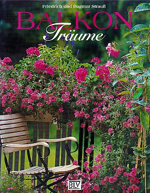 Balkon Träume