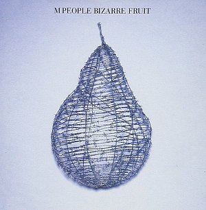 Bizarre fruit [CD]