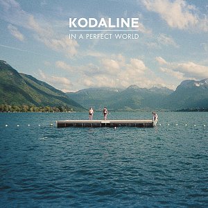 In A Perfect World [CD]