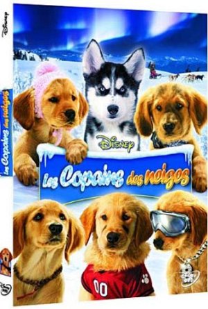 Les Copains des neiges [DVD]