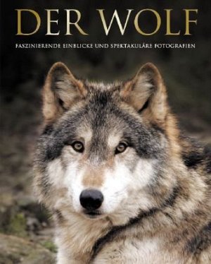 Der Wolf