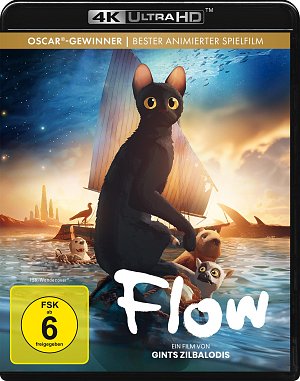 Flow