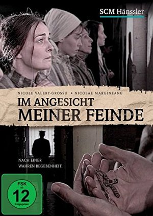 Im Angesicht meiner Feinde [DVD]
