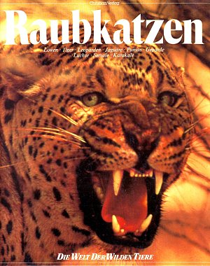 Raubkatzen