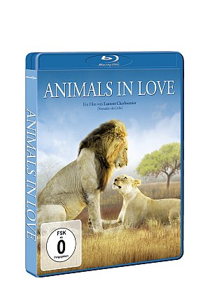 Animals in Love - Tierisch verliebt [Blu-ray]