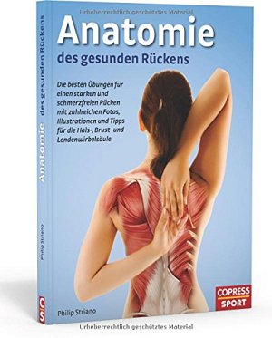 Anatomie des gesunden Rückens