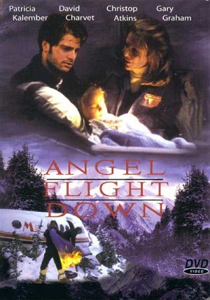 Angel Flight Down [DVD]
