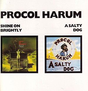 Shine On Brightly - A Salty Dog [CD]