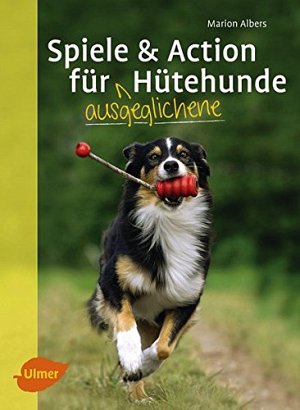 Spiele und Action für ausgeglichene Hütehunde: Border Collie, Australian Shepherd...