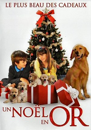 Un noël en or [DVD]