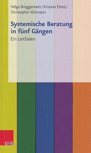 Systemische Beratung in fünf Gängen