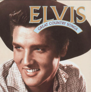 Great Country Songs [CD]