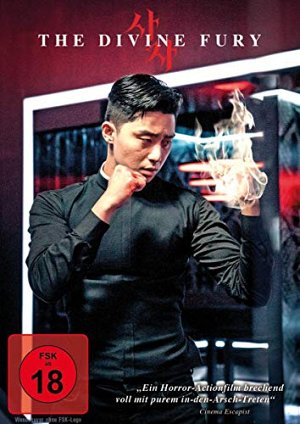 The Divine Fury [DVD]
