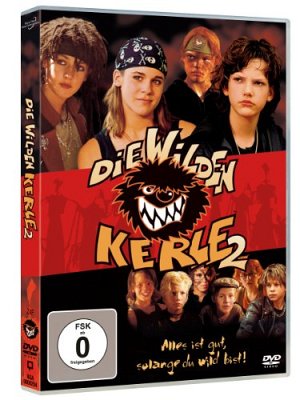 Die wilden Kerle 2 [DVD]