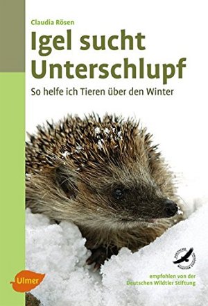Igel sucht Unterschlupf